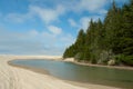 Oregon Sand Dunes National Recreation Area Royalty Free Stock Photo