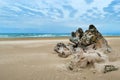 Oregon Sand Dunes National Recreation area Royalty Free Stock Photo