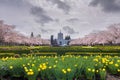 Oregon State Capitol Building with Spring Flowers