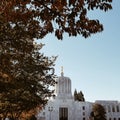 Oregon State Capitol surrounded by trees under the sunlight and a blue sky in Salem in the USA Royalty Free Stock Photo