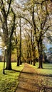 Oregon State University Autumn Afternoon