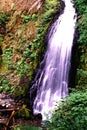 Oregon waterfall Royalty Free Stock Photo