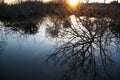 Oregon Wetlands at Sunset