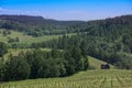 Oregon Wine Country Landscape Royalty Free Stock Photo