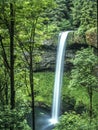 OregonÃ¯Â¿Â½s Cascade Mountains, Silver Falls State Park Royalty Free Stock Photo