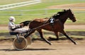 Orel, Russia - April 30, 2017: Harness racing. Sorrel racing horse trotting fast with a sulky Royalty Free Stock Photo