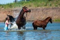 Orenburg, Russia - 18 June 2016: Girl bathing horses