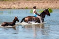 Orenburg, Russia - 18 June 2016: Girl bathing horses