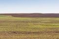 Orenburg steppe Royalty Free Stock Photo