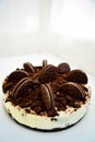 Homemade Oreo cheesecake Royalty Free Stock Photo