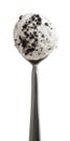 Oreo cookie pieces ice cream ball on the scoop spoon Royalty Free Stock Photo