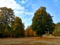 autumn in the park Royalty Free Stock Photo