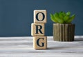 ORG - acronym on wooden cubes on the background of a cactus