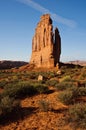 The Organ. Arches National Park Royalty Free Stock Photo