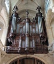 Organ