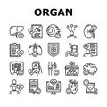 Organ Donation Medical Collection Icons Set Vector