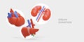 Organ donation. Transplantation. Concept with realistic kidneys, liver, heart Royalty Free Stock Photo