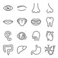 Organ icon illustration vector set. Contains such as Eye, Lips, Mouth, Heart, Liver and more. Editable stroke