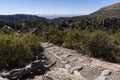 Organ Pipe Formation at the Chiricahua National Monument