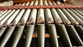 Organ Pipes