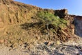 Organ Pipes - Twyfelfontein, Damaraland, Namibia Royalty Free Stock Photo