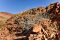 Organ Pipes - Twyfelfontein, Damaraland, Namibia Royalty Free Stock Photo