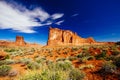 The Organ sandstone, Arches National Park, Utah, USA. Royalty Free Stock Photo