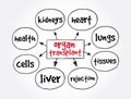 Organ Transplant mind map, medical concept for presentations and reports