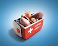 Organ transportation concept open human organ refrigerator box r