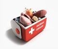 Organ transportation concept open human organ refrigerator box r