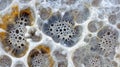 Organic Abstract Cell Network: A Microscopic World of Fractal Forms and Subtle Color Variations