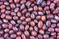 Organic Adzuki beans