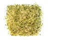 Organic Alfalfa Sprouts Isolated Royalty Free Stock Photo