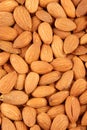 Organic almond or badam nuts