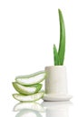 Organic aloe vera Royalty Free Stock Photo