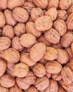 Organic american walnuts closeup for sale