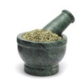 Organic Aniseed (Pimpinella anisum) on marble pestle. Royalty Free Stock Photo