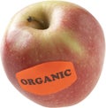 Organic Apple Royalty Free Stock Photo