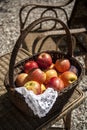 Organic apple in a basked Royalty Free Stock Photo