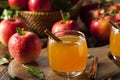 Organic Apple Cider with Cinnamon Royalty Free Stock Photo