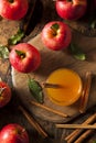 Organic Apple Cider with Cinnamon Royalty Free Stock Photo