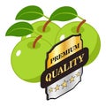 Organic apple icon isometric vector. Fresh green apple and premium quality sign