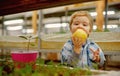 Organic apple. small kid eating fresh organic apple. organic apple is a healthy natural product. organic apple for small