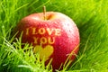 Organic apple in spring grass with inscription i love you healthy lifestyle concept Royalty Free Stock Photo