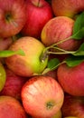 Organic apples in basket close up Royalty Free Stock Photo