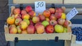 Organic Apples Crate Royalty Free Stock Photo