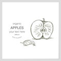 Organic apples hand drawn sketch for vegetables store label.