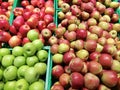 red green yellow apples in fruit crates color composition