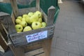 Organic apples, old variety, called Glockenapfel, in an environmentally friendly wooden box, ready for sale at the farmers market
