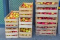 Organic Apples Crates Royalty Free Stock Photo